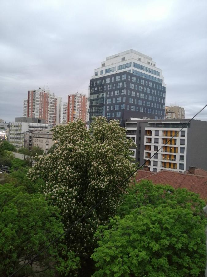 Caviar Apartment Beograd Bagian luar foto